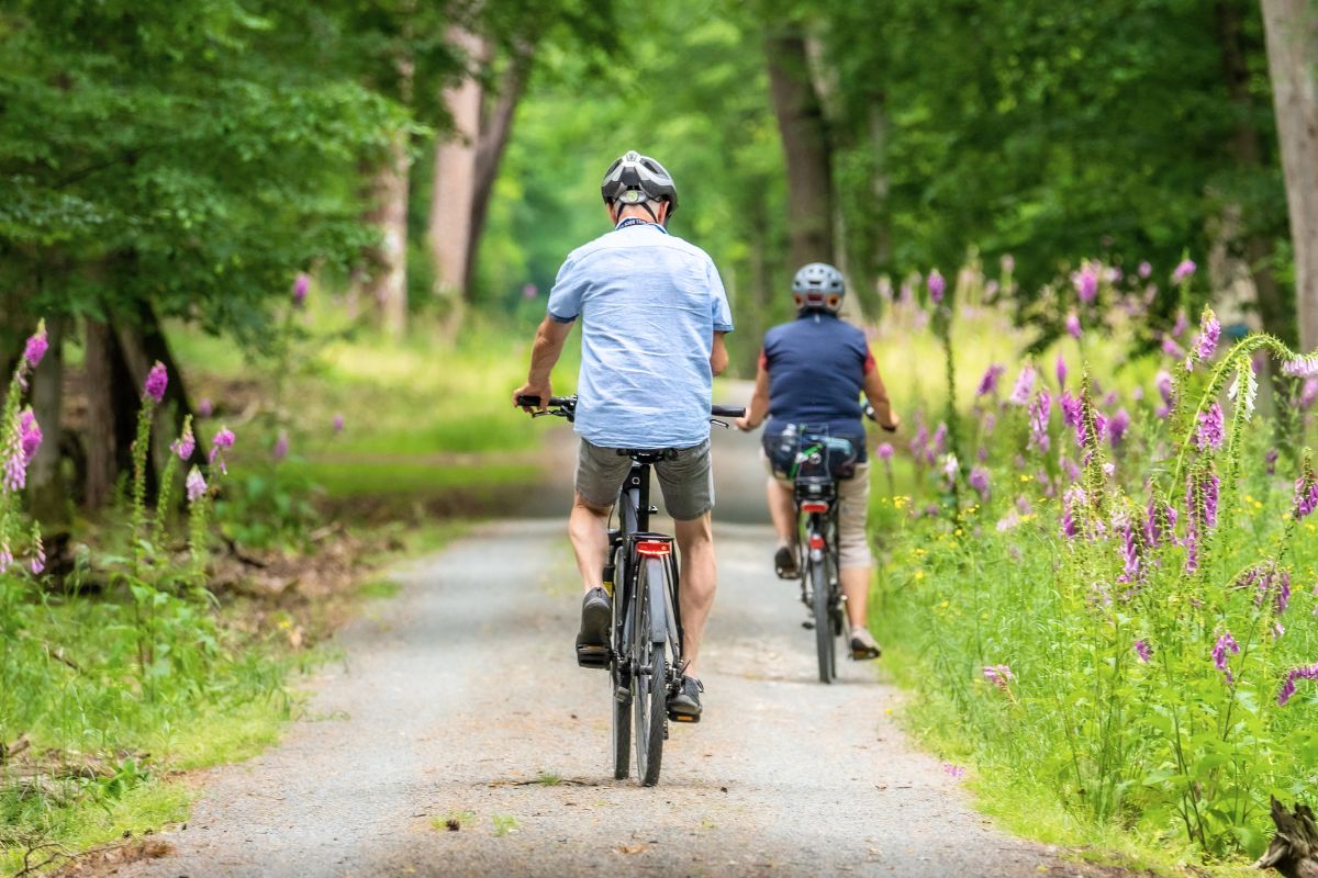 Radfahren und Ausflüge rund um Zierow