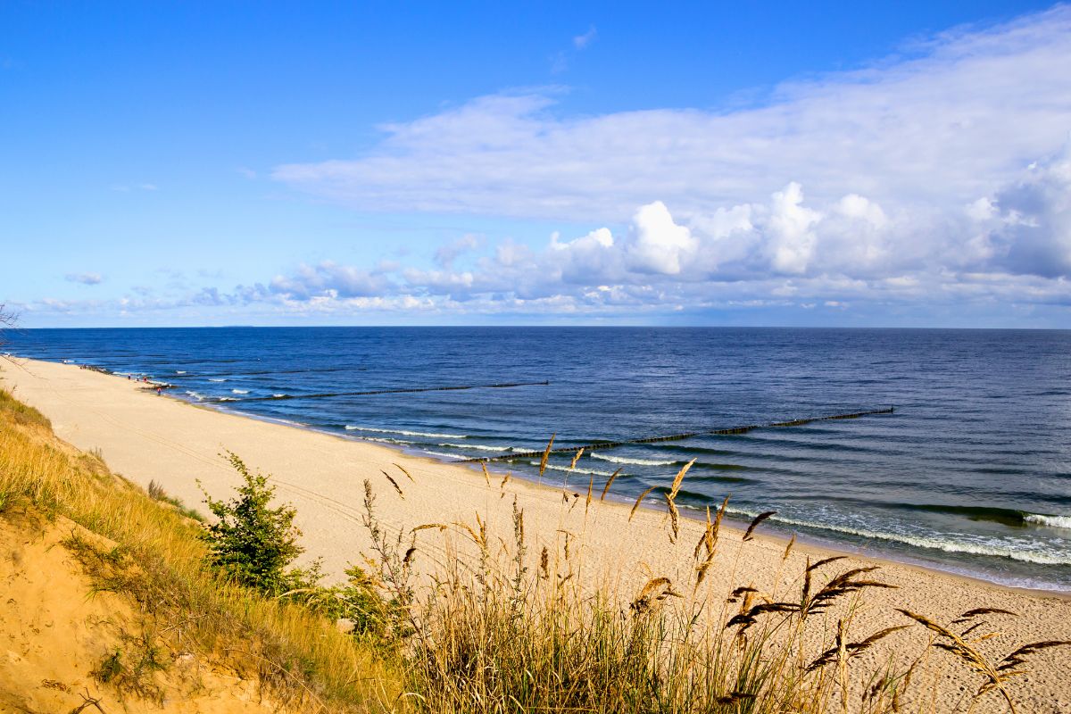 Strand und Natur in Zierow